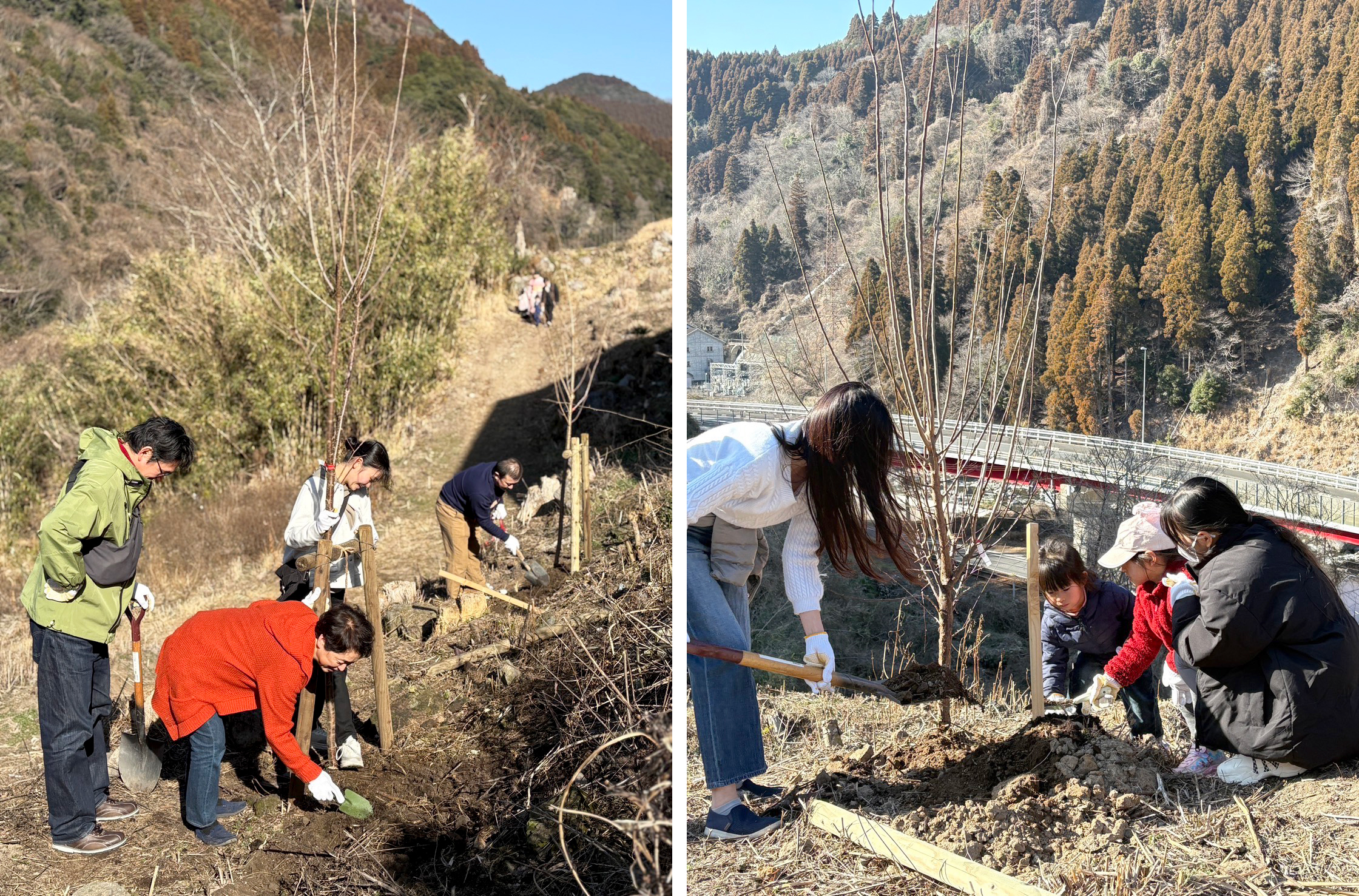 株式会社光会館 ふろんでん植樹イベント
